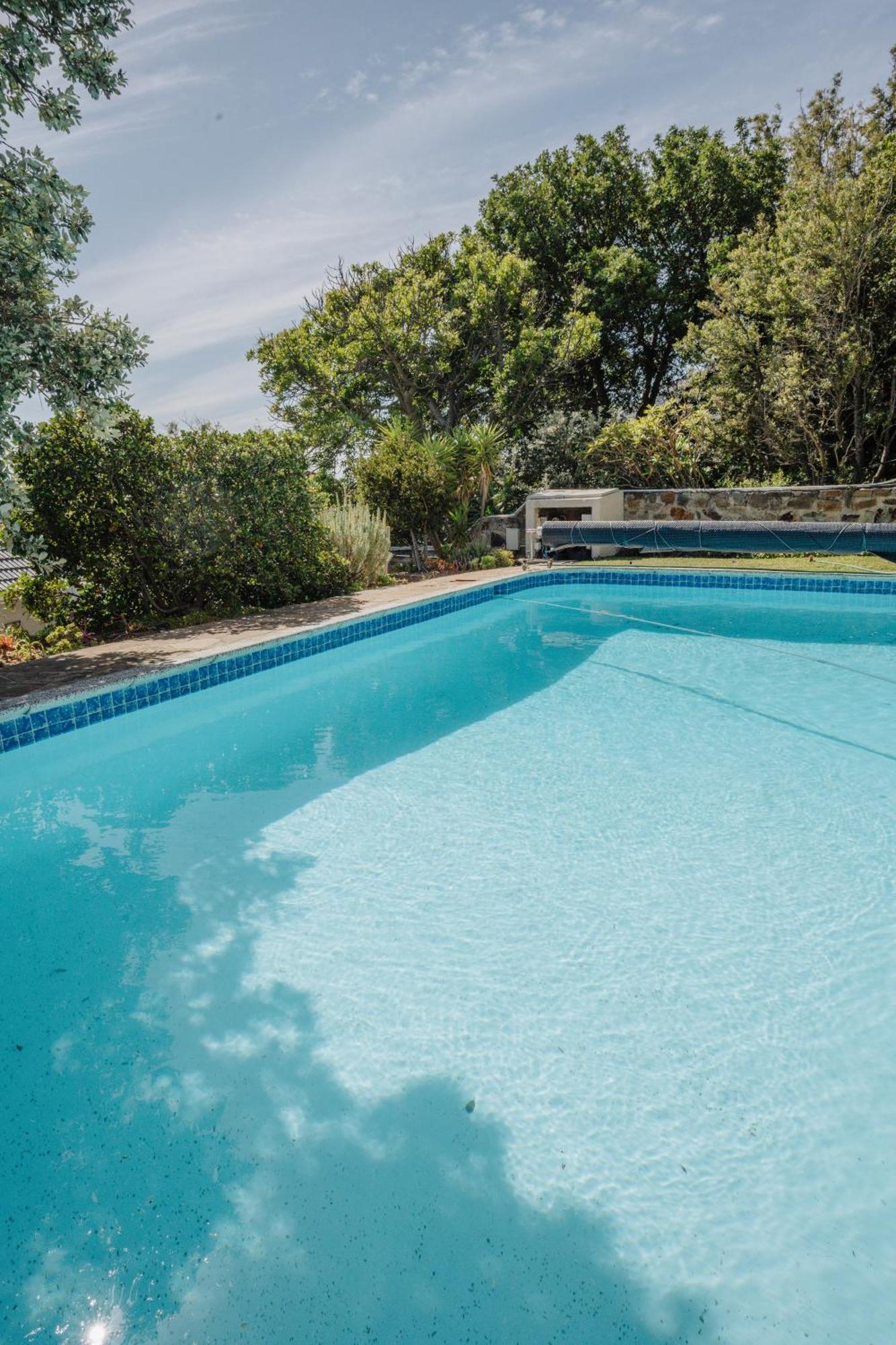 דירות קייפטאון Echo Friendly Sunny Contemporary Garden Flat מראה חיצוני תמונה